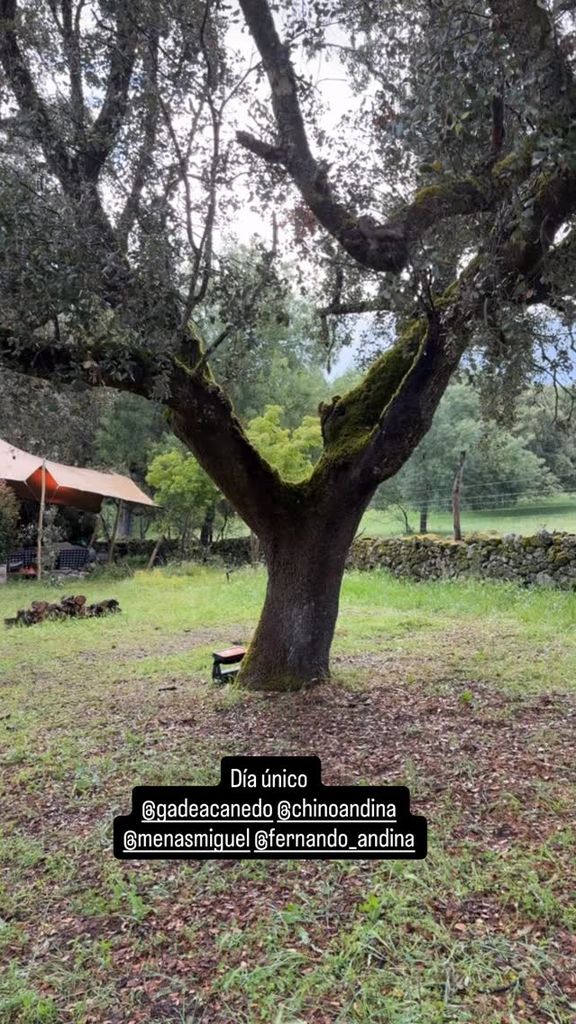 Detalles del lugar donde tuvo lugar el convite