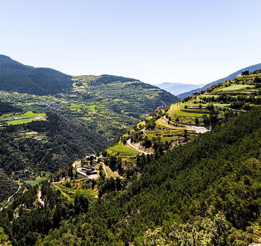 Viñedos, Andorra