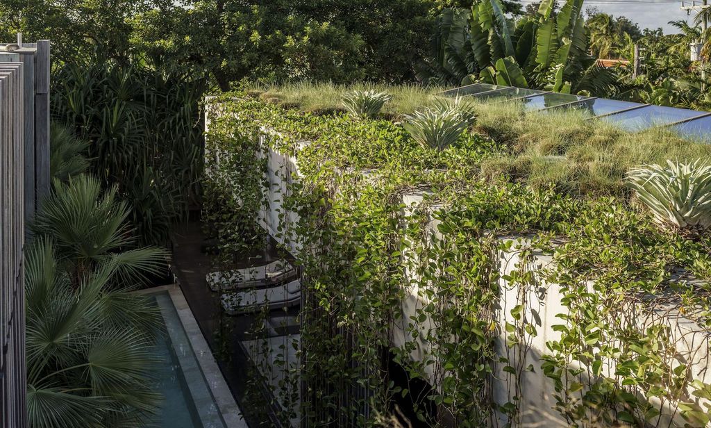la vegetaci n elemento indispensable del proyecto de rene gonzalez architects