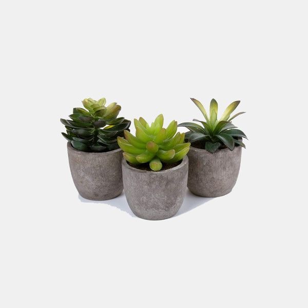cactus artificial decoracion