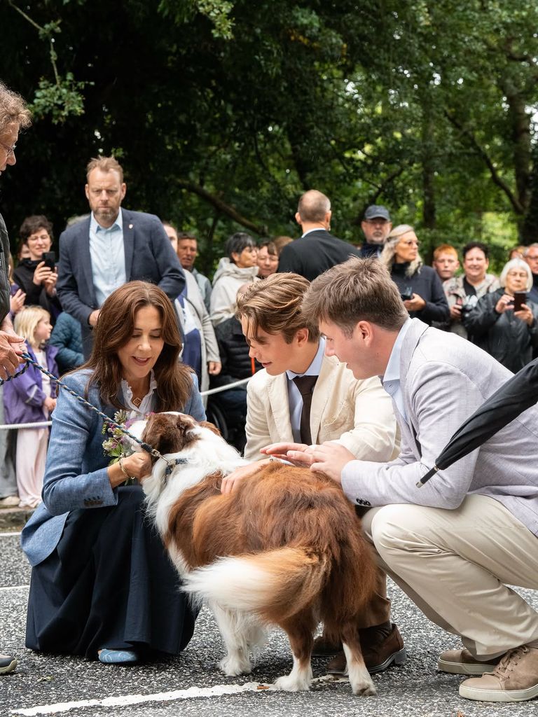 La Familia Real acaricia al pequeño border collie