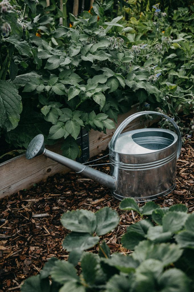 Regadera metálica en el jardín