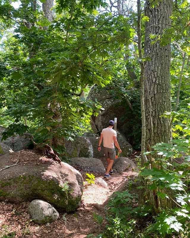 Carlos Felipe de Suecia, durante la excursión en familia por un Parque Nacional