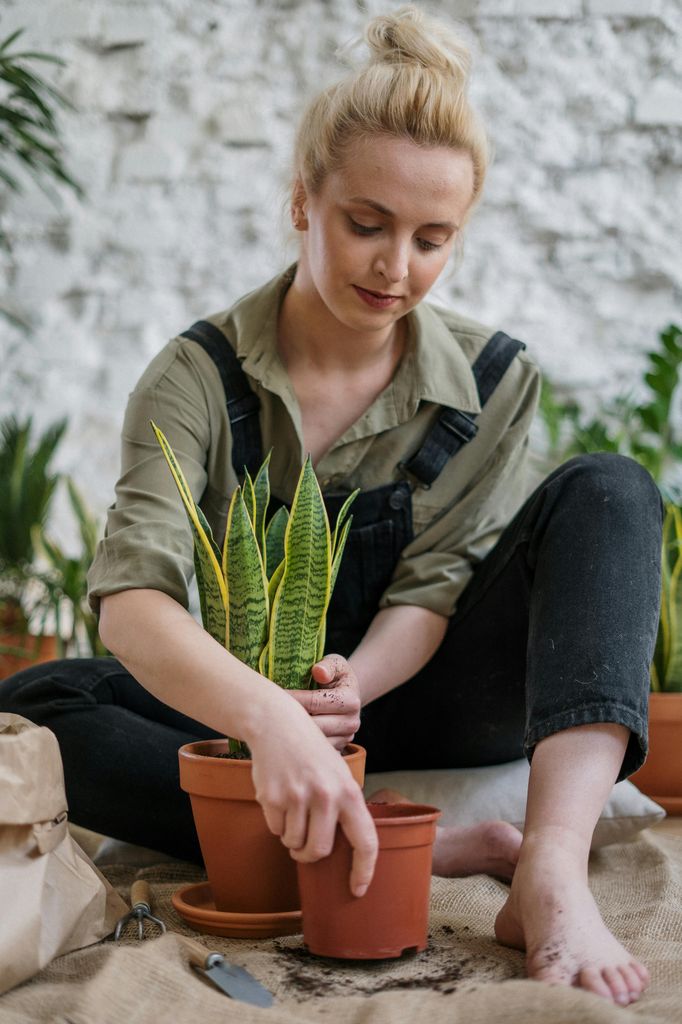 Mujer trasplantando plantas