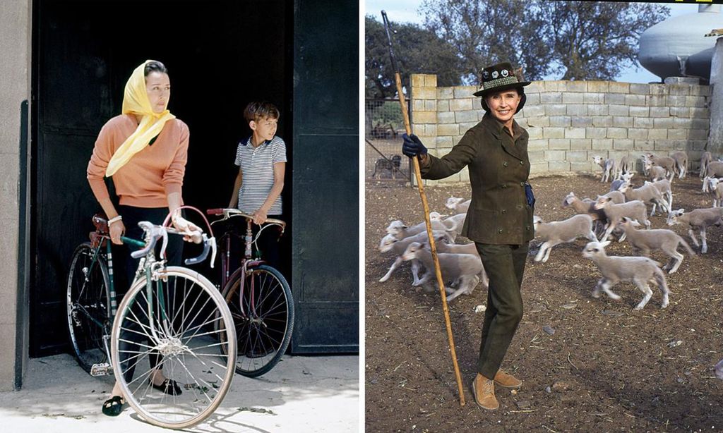 GettyImages-1279981138-Collage-U55658744714iSw