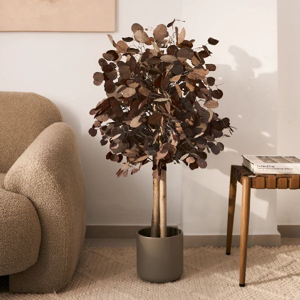 Árbol Eucalipto Preservado Round Maia Shop