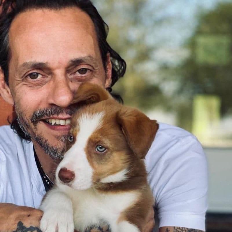 marc anthony y su cachorrita