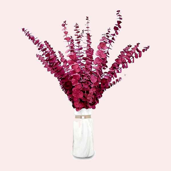 Eucalipto Secado Natural Flores Secas 45cm Amazon