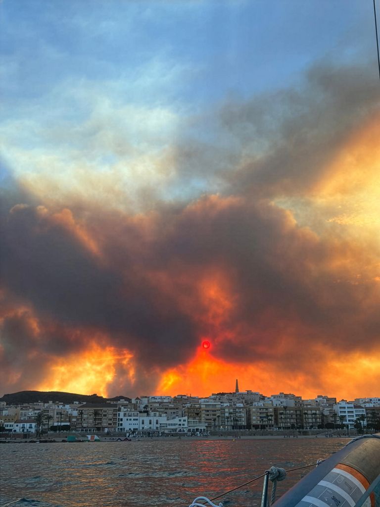 El incendio declarado entre Los Gallardos y Bédar ha dejado una tragedia sin precedentes en Andalucía, con un amplio despliegue de efectivos que continúa trabajando para contener las llama