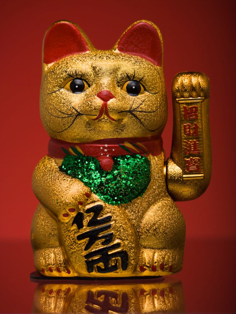 Media Image