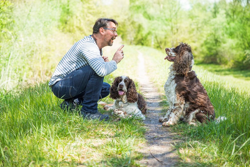 Un dueño de un perro advirtiendo a su mascota 
