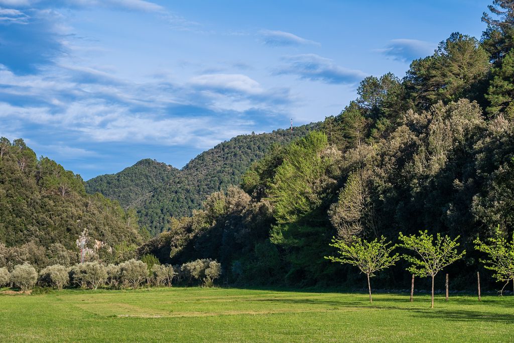 Paisaje de Albanyà, Girona