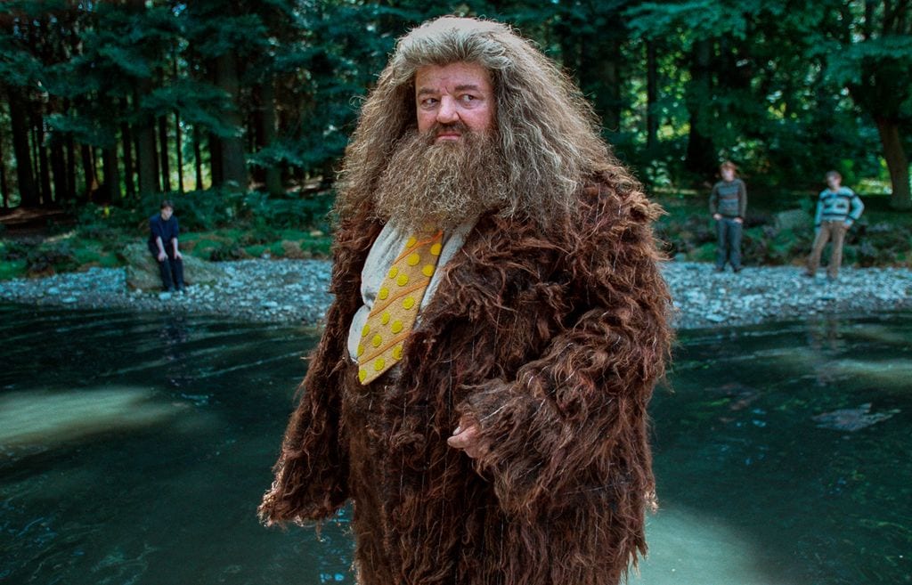 Robert Coltrane dio vida al Hagrid, uno de los personajes más queridos de este mágico mundo