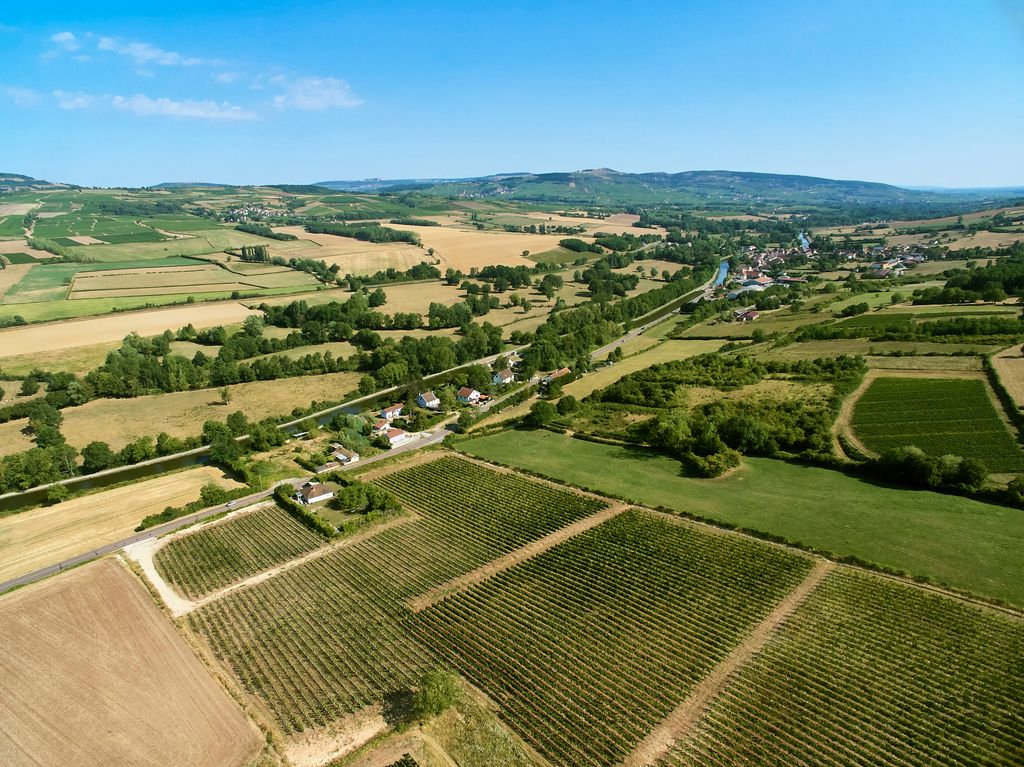 Una vista aérea de los viñedos de Saint-Gilles 