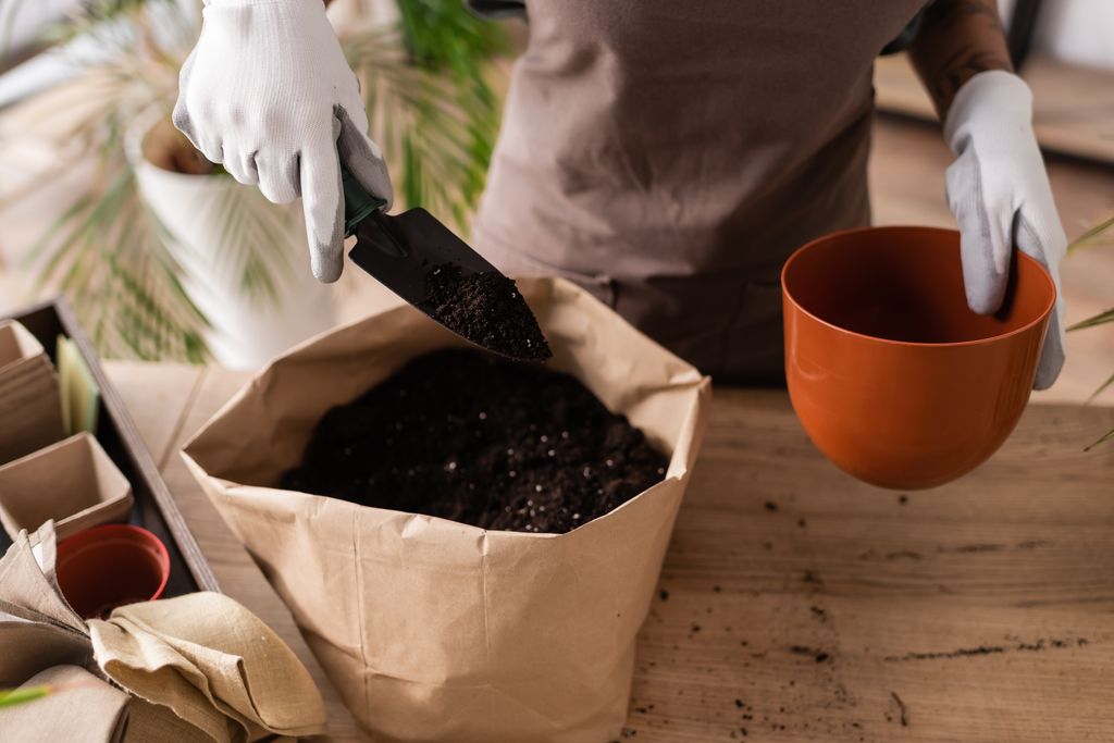 Sustrato para plantas de interior