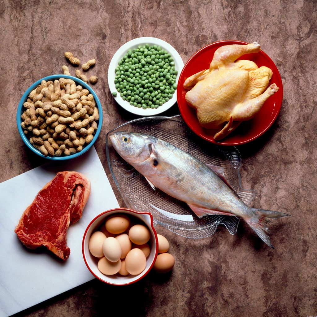 Still Life Of Protein Foods.