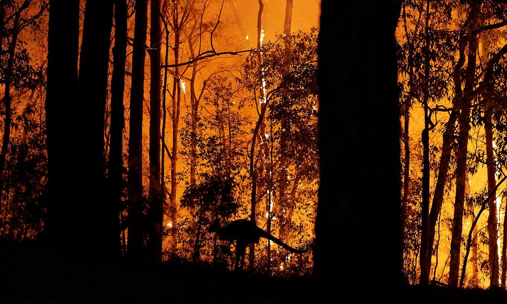 Incendios en Australia
