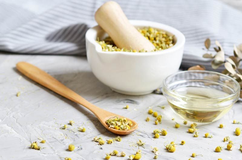 6 plantas medicinales que cuidan tus ojos