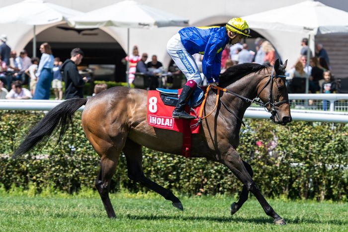 Azul Gelabert Premio ¡HOLA!