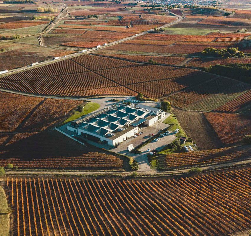 Vista aérea de la bodega Cepa 21 y sus viñedos