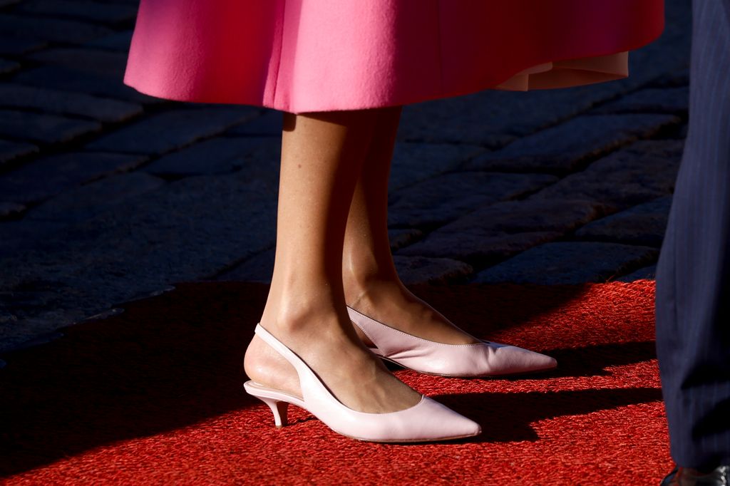 La reina Letizia en Finlandia con look rosa, 2026.