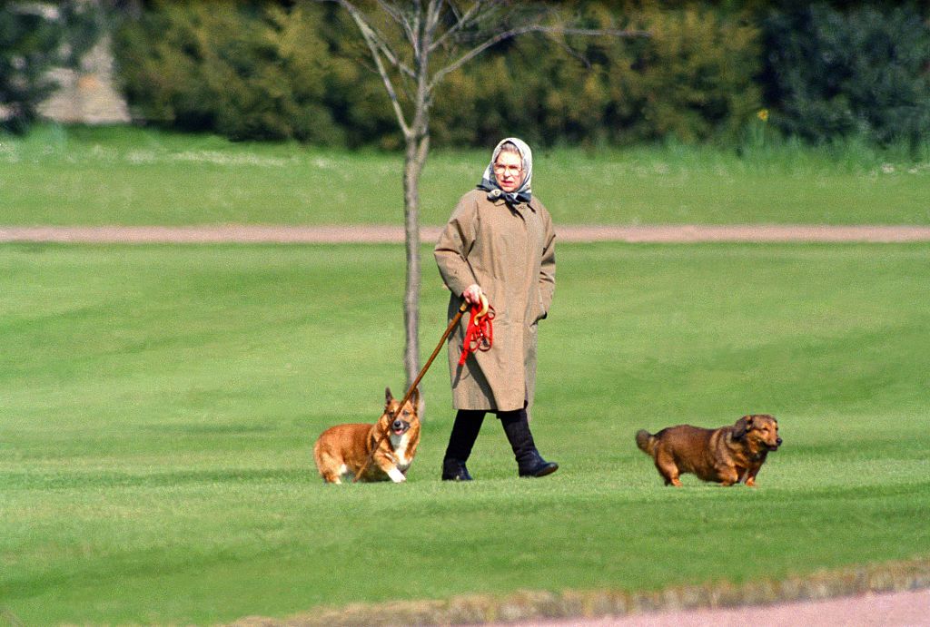 Isabel II paseando a sus corgis
