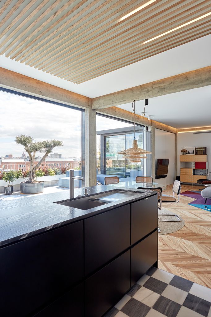 Cocina y, de fondo, terraza con un olivo en maceta
