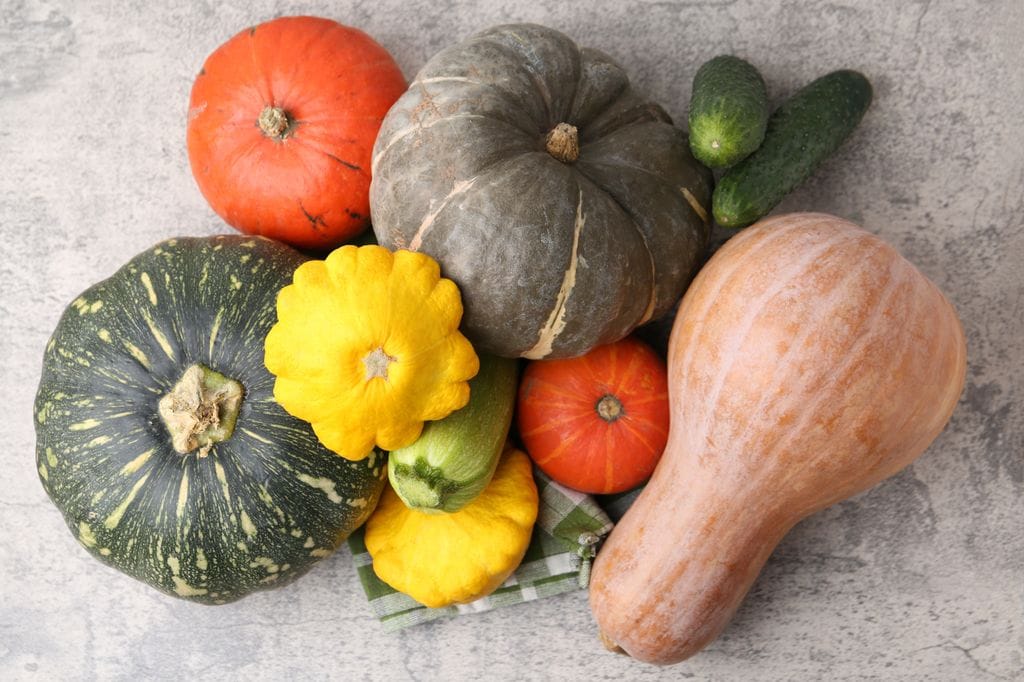 Existen diferentes variedades de calabaza, pero la más indicada para hacer postres es la conocida como 'violín' o 'cacahuete'.