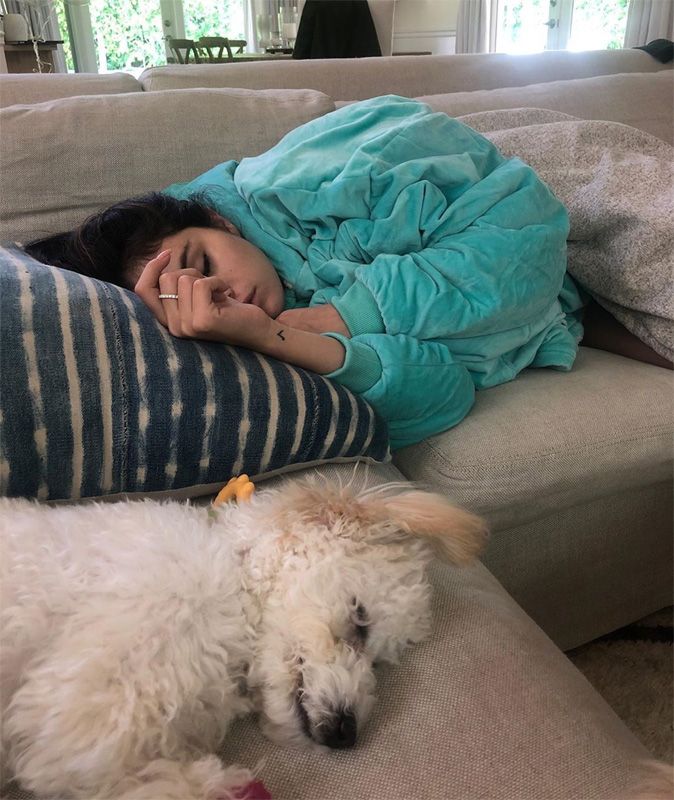 selena gomez perro
