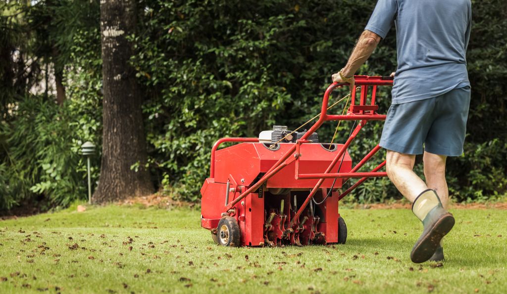 Profesional en un jardín doméstico aireando el césped con una máquina específica para ello