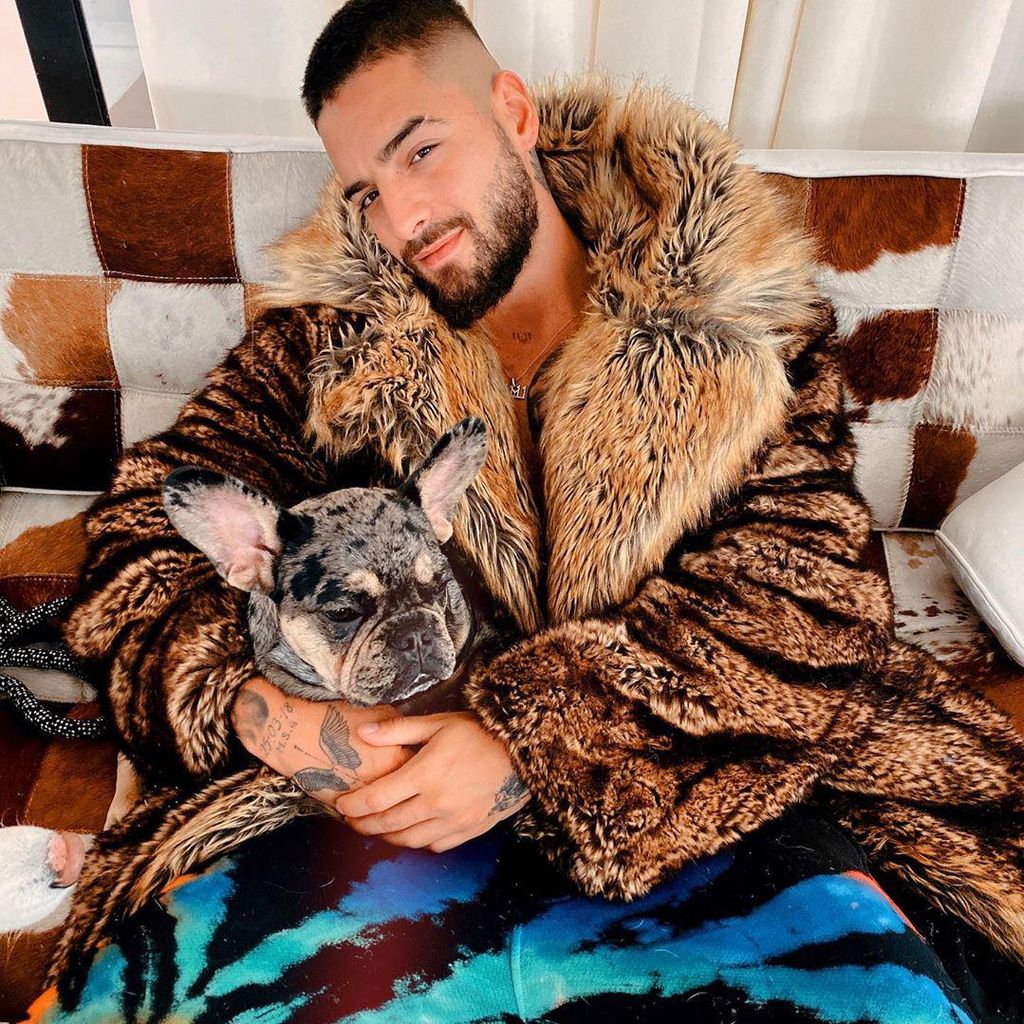 maluma-perro-