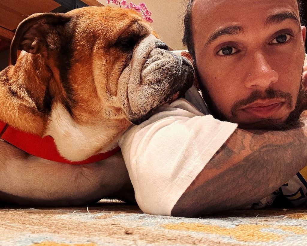 Lewis Hamilton se despide de su mascota, un bulldog llamado Roscoe