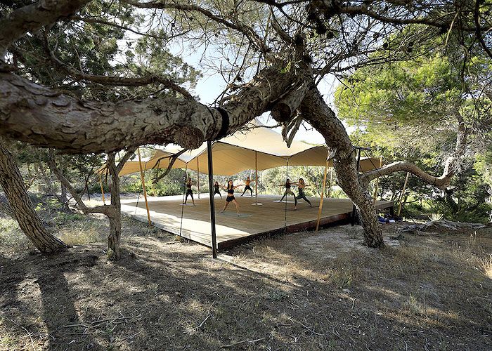 Retiro de Yoga para mujeres 