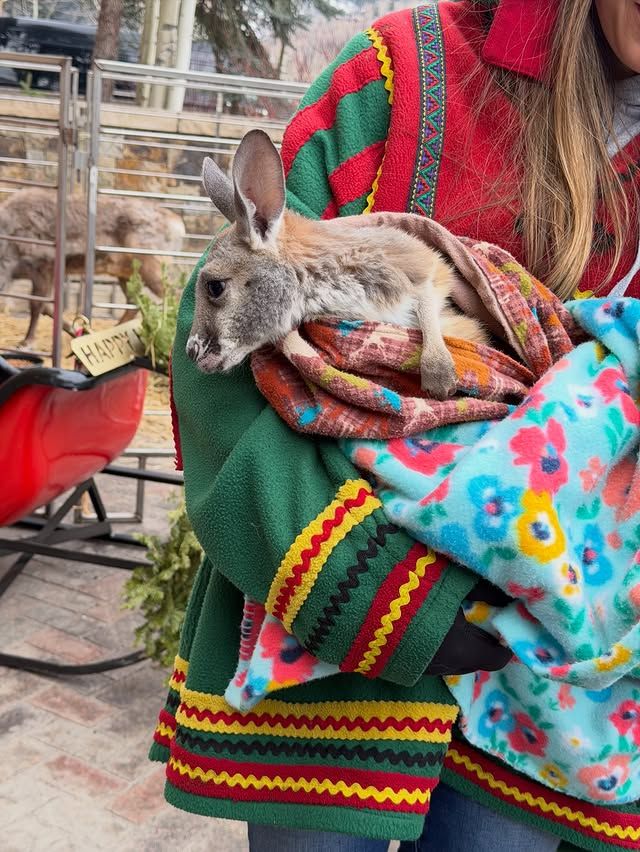 La actriz ha disfrutado de todas las actividades invernales en el resort