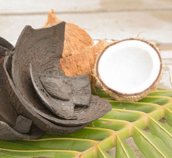 Conchas de coco