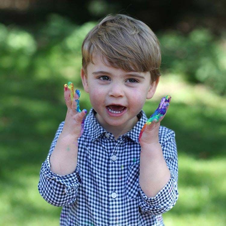 George de Cambridge, picado con su hermano