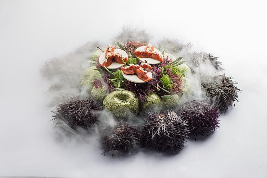 Erizos del restaurante Aponiente en El Puerto de Santa María, Cádiz