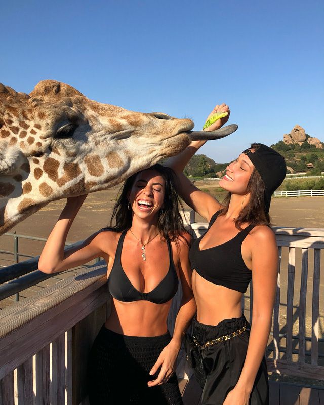 bella hadid amiga
