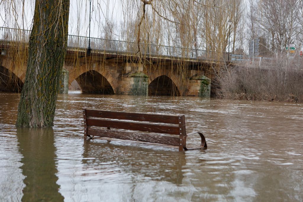 La unión del Tera y el Duero en Garray (Soria), con el caudal creciendo y bajo vigilancia tras activarse el nivel 2 de emergencia por riesgo de inundaciones