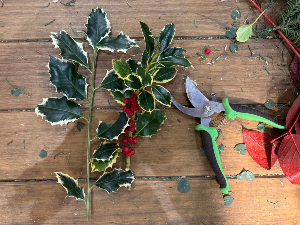 Algunos materiales necesarios para el 'DIY'