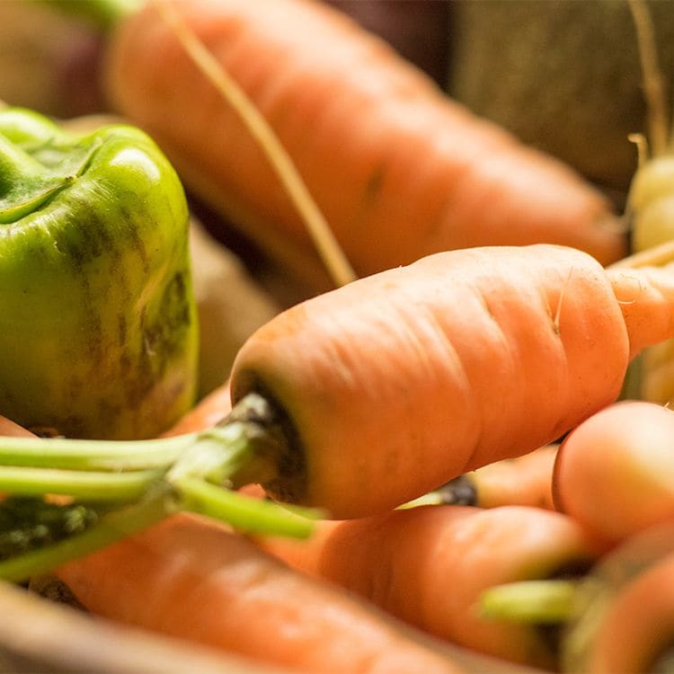 Zanahorias y pimientos verdes