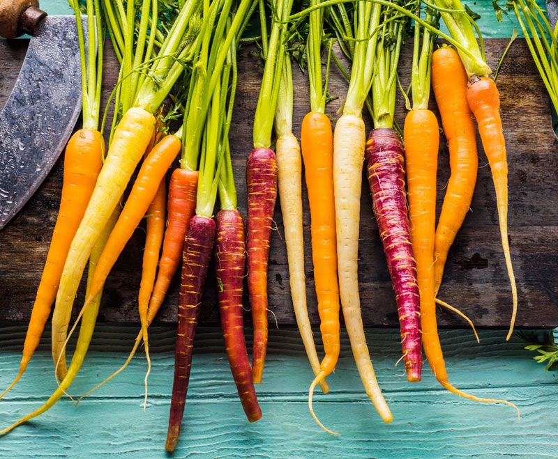 Zanahorias