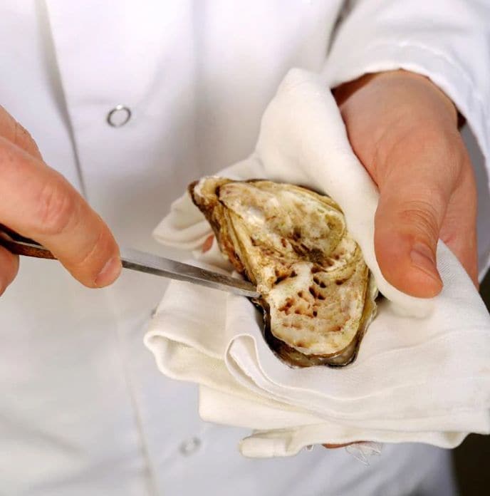 Cubre la mano con un trapo antes de abrilas.