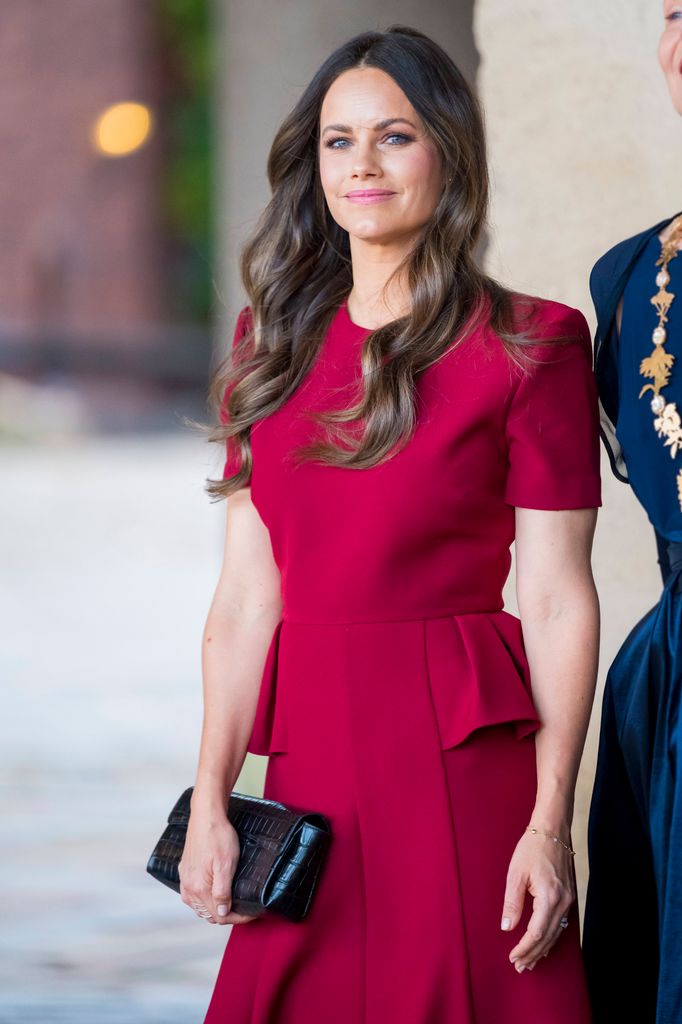La princesa Sofía de Suecia en la Universidad de Sophiahemmet  en Estocolmo