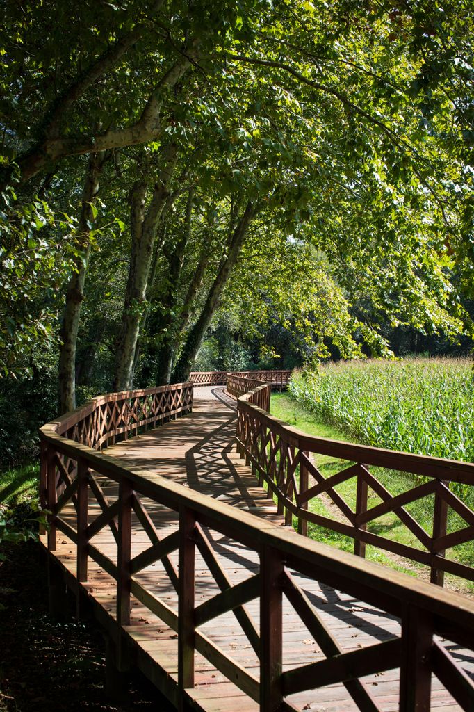 Ruta del paseo fluvial del río Anllóns en A Laracha, A Coruña