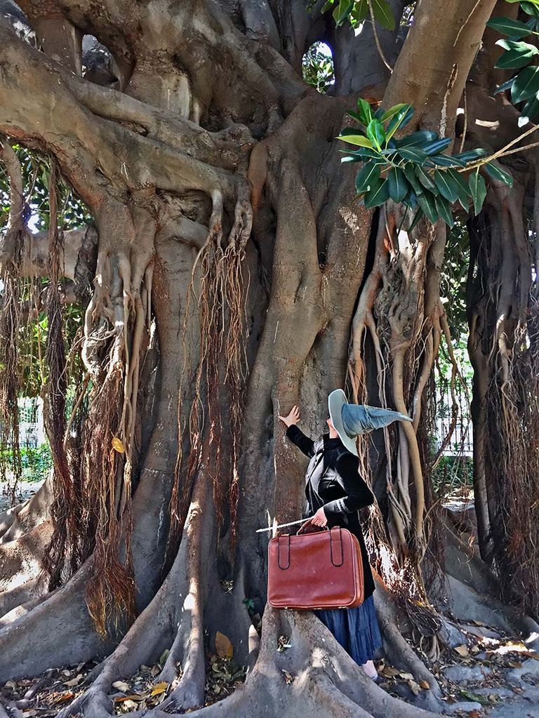 harry-potter-encanterium-valencia