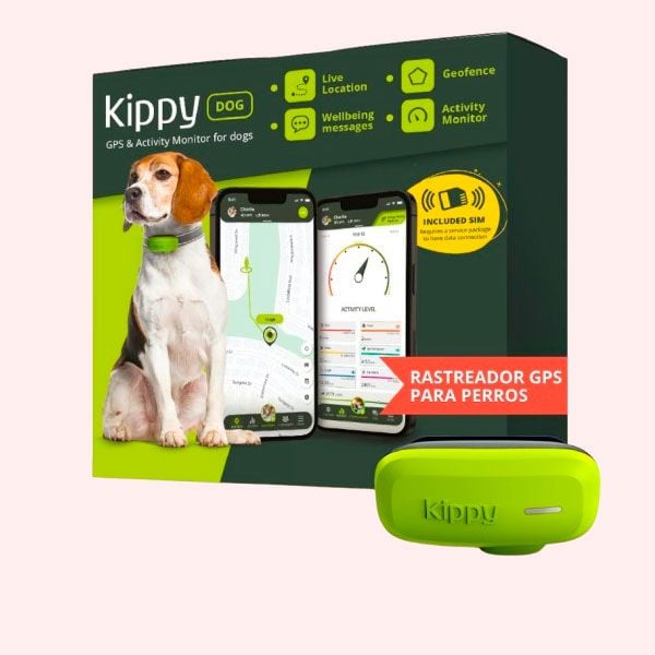 Para llevar control de la salud de tu perro