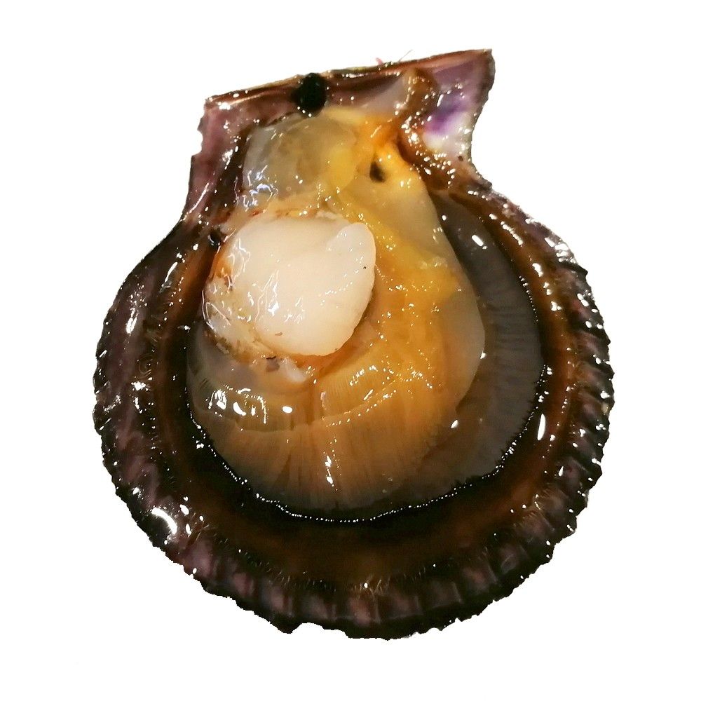 Auténtica zamburiña.