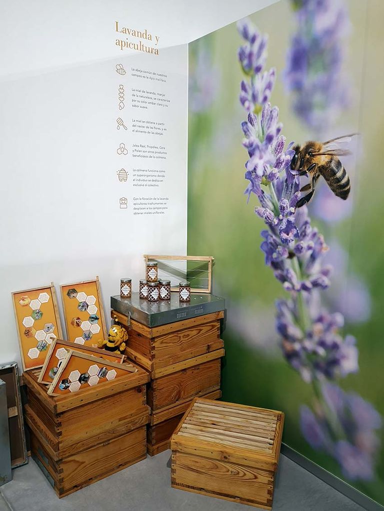 Tiedra de Lavanda, centro de interpretación, Valladolid