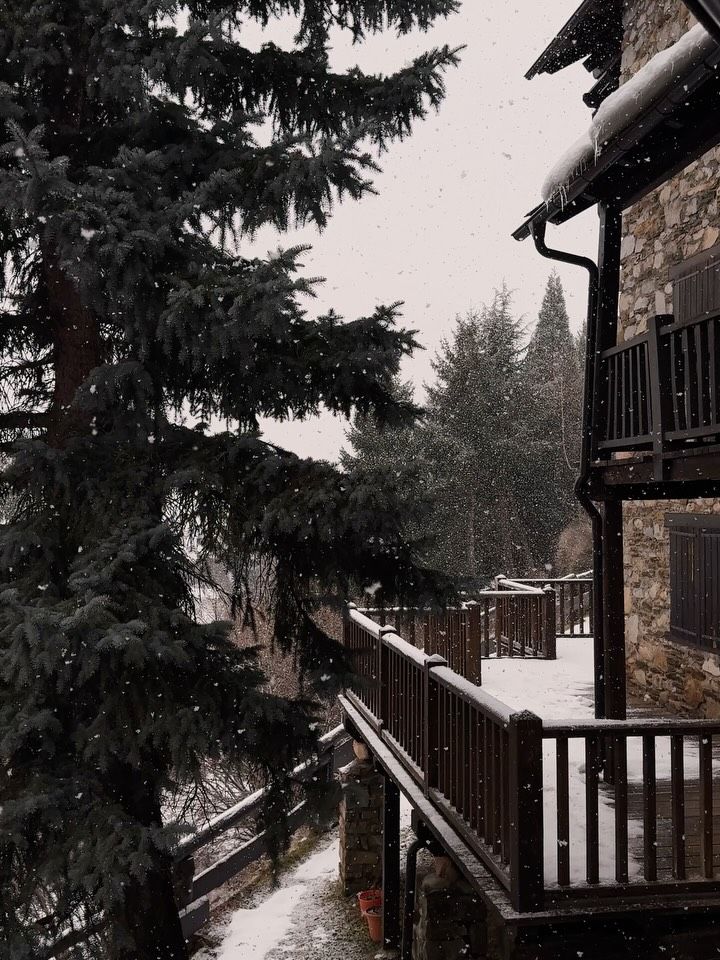 En la nieve tienen su refugio